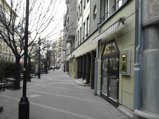 Pepin Craft Brasserie