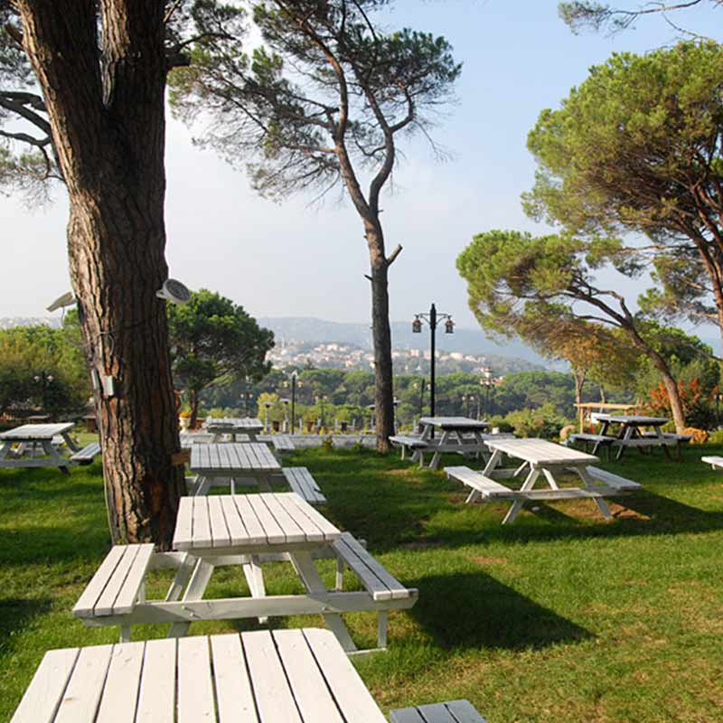 Gizli Bahce