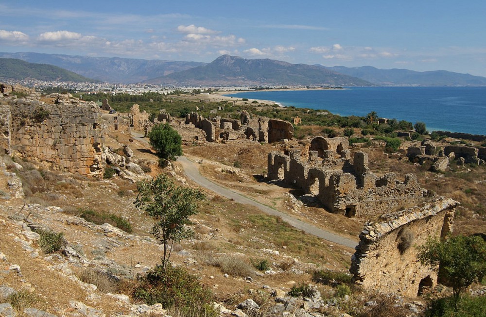 Anemurium