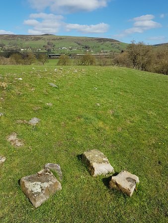 Navio Roman Fort and Vicus