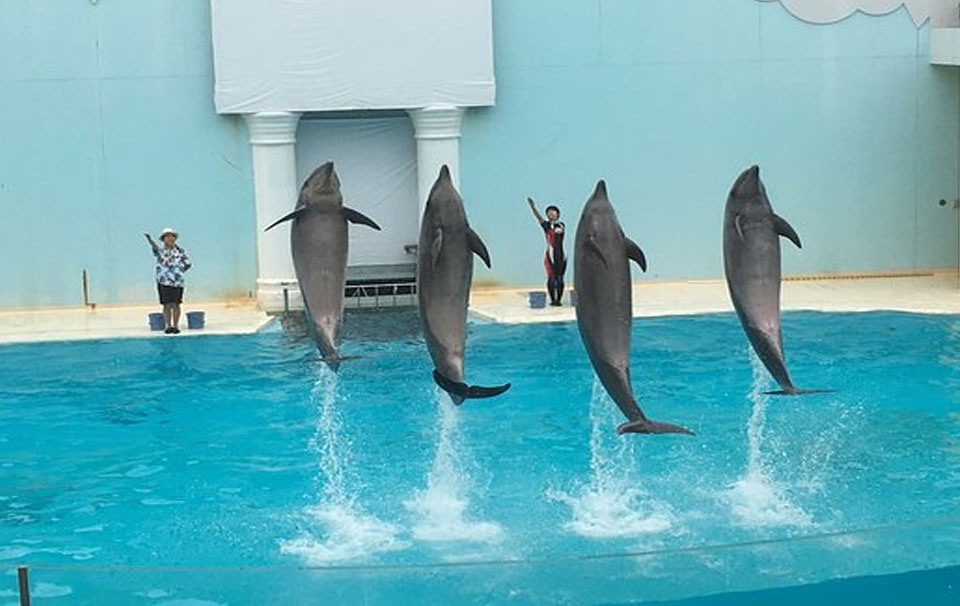 Suma Aqualife Park Kobe