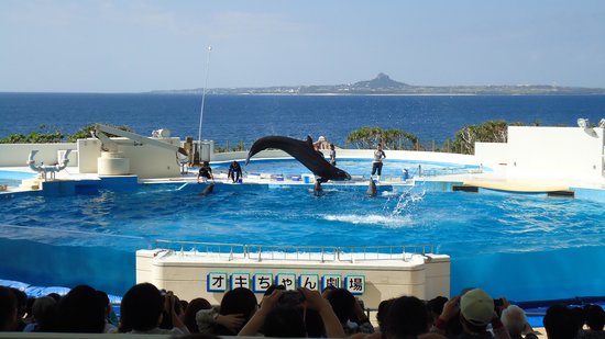 Okichan Theater