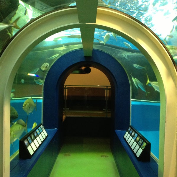 Uozu Aquarium