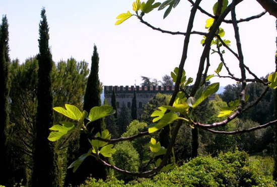 Castello La Poderina