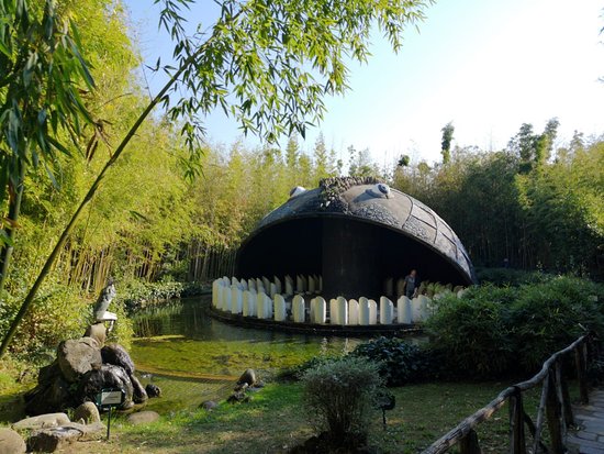 Parco di Pinocchio