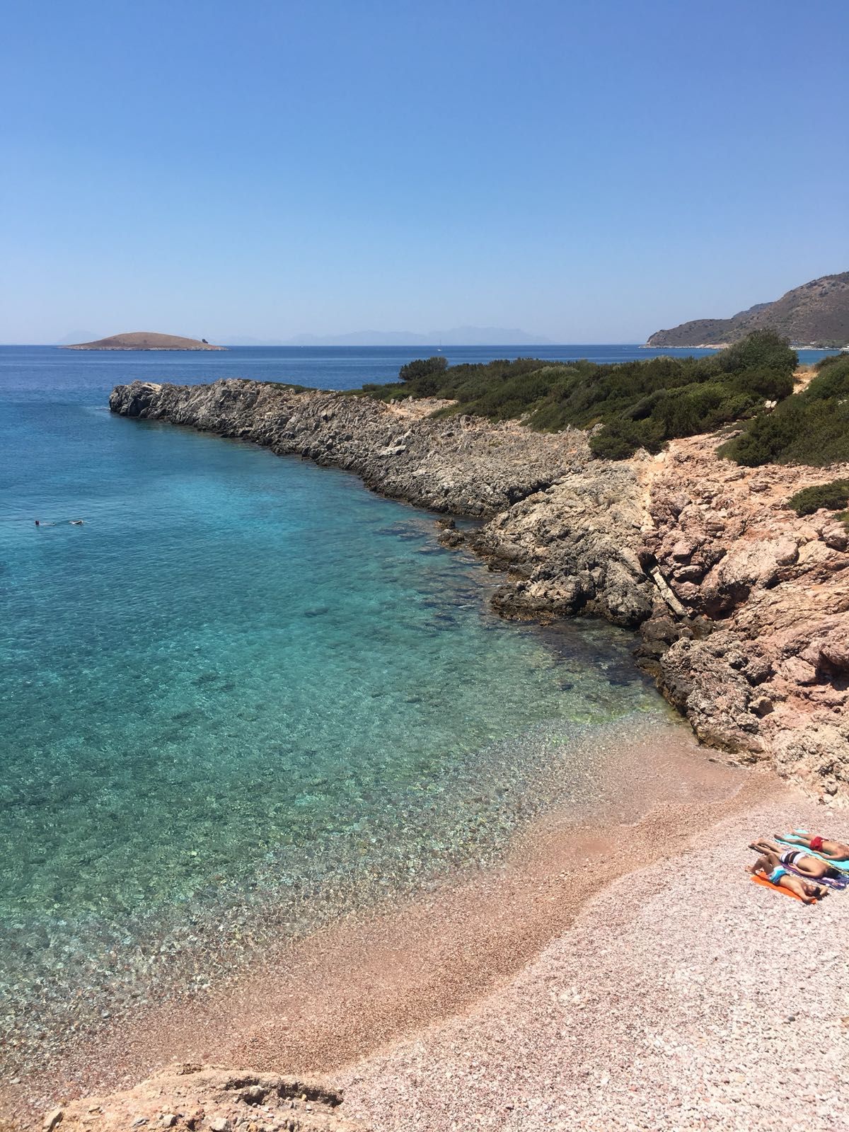 Akvaryum Koyu
