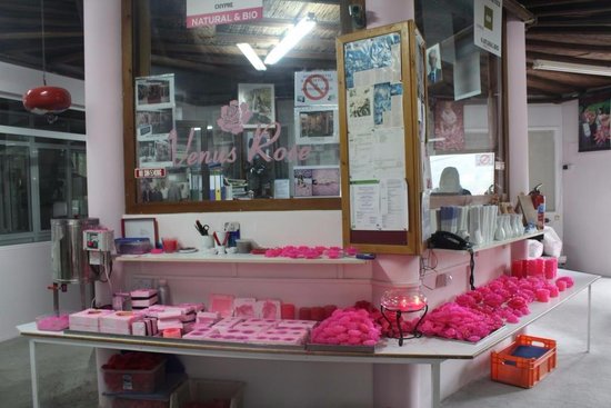 THE ROSE FACTORY CHRIS N. TSOLAKIS