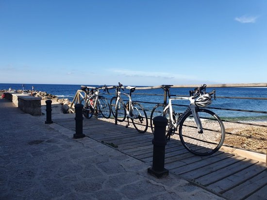 Why Not Cycling
