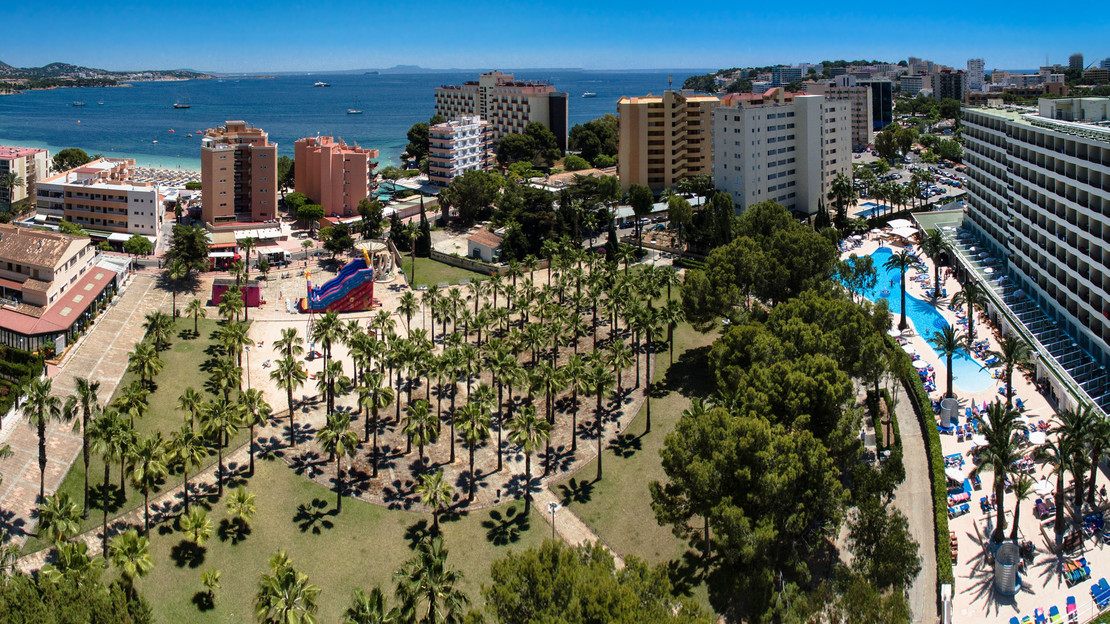 Olive Trail Mallorca