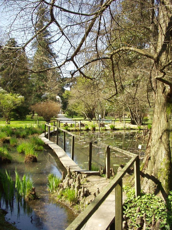 Orto Botanico di Lucca