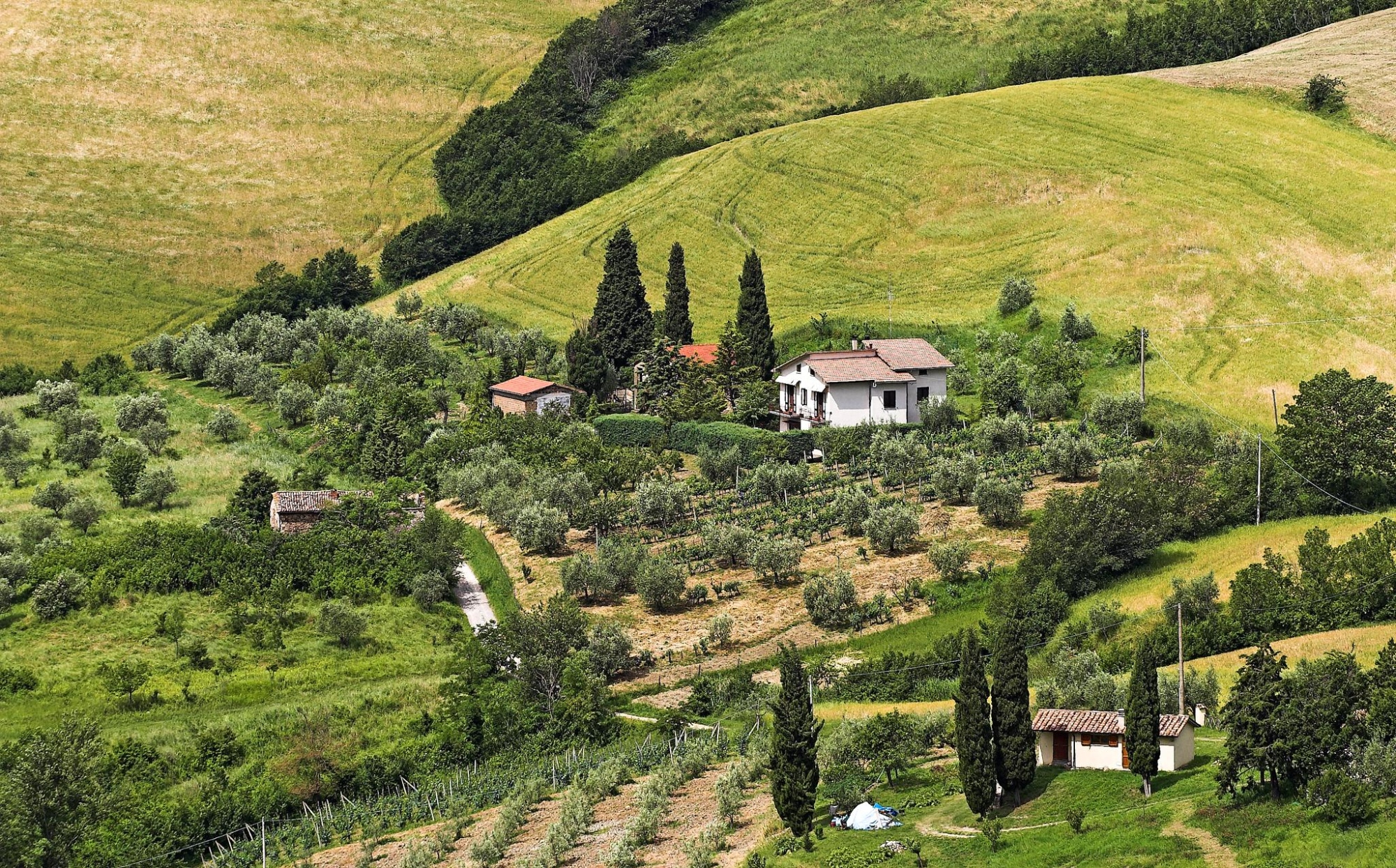 On The Road In Chianti