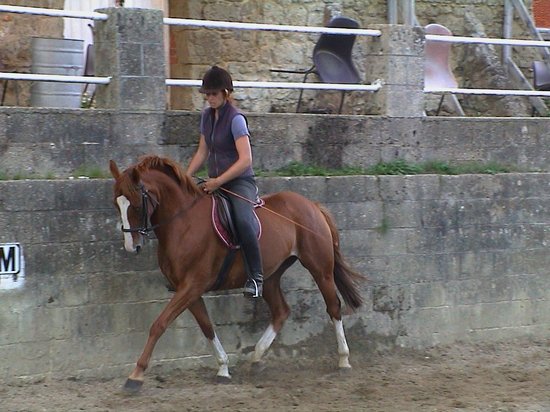 Allendale Equestrian Centre