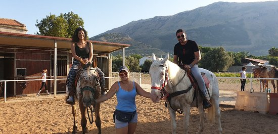 Azienda Agricola Bio Horses Country "Il Feudo Di Mezzo"