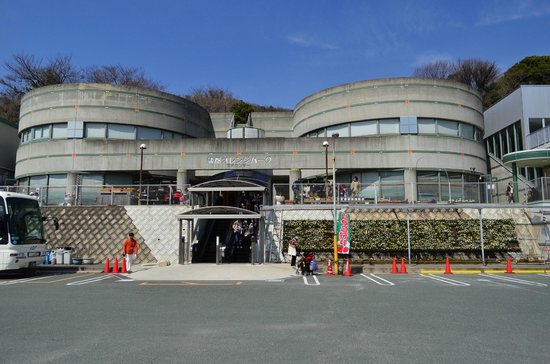 Kamago Orange Park