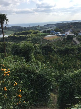 Tsukuihama Kanko Farm