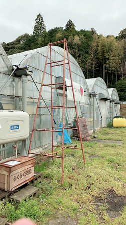 Kubo Strawberry Farm