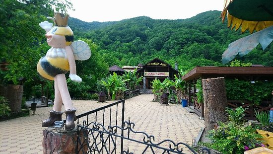 Outdoor Pictures 1