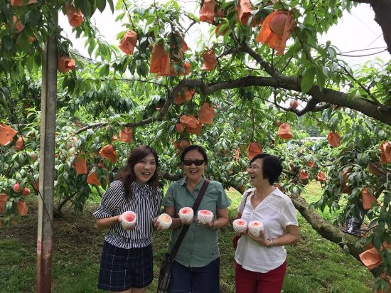 Nishiyama Farm
