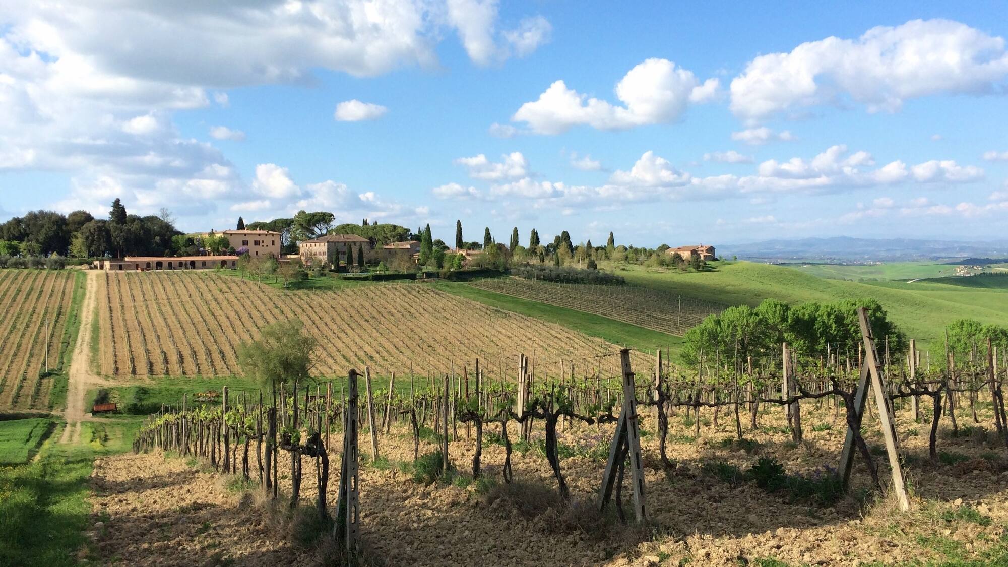 Az. Agr. Baruffaldi Daniele