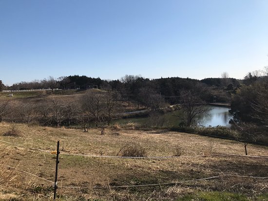 Yatsu no Sato Strawberry Farm