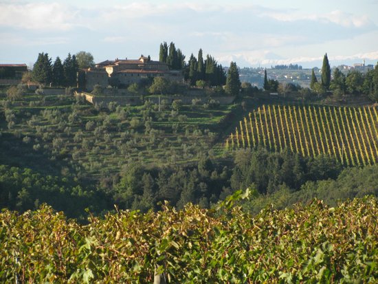 Castello della Paneretta Agriturismo Cooking Class