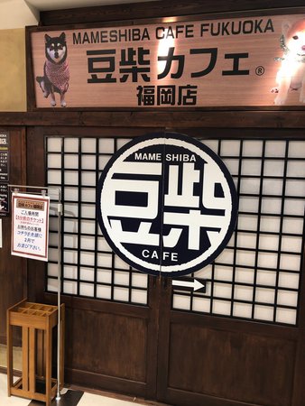Mameshiba Cafe Fukuoka