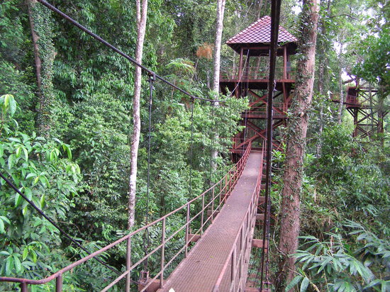 Thung Khai Botanical Garden