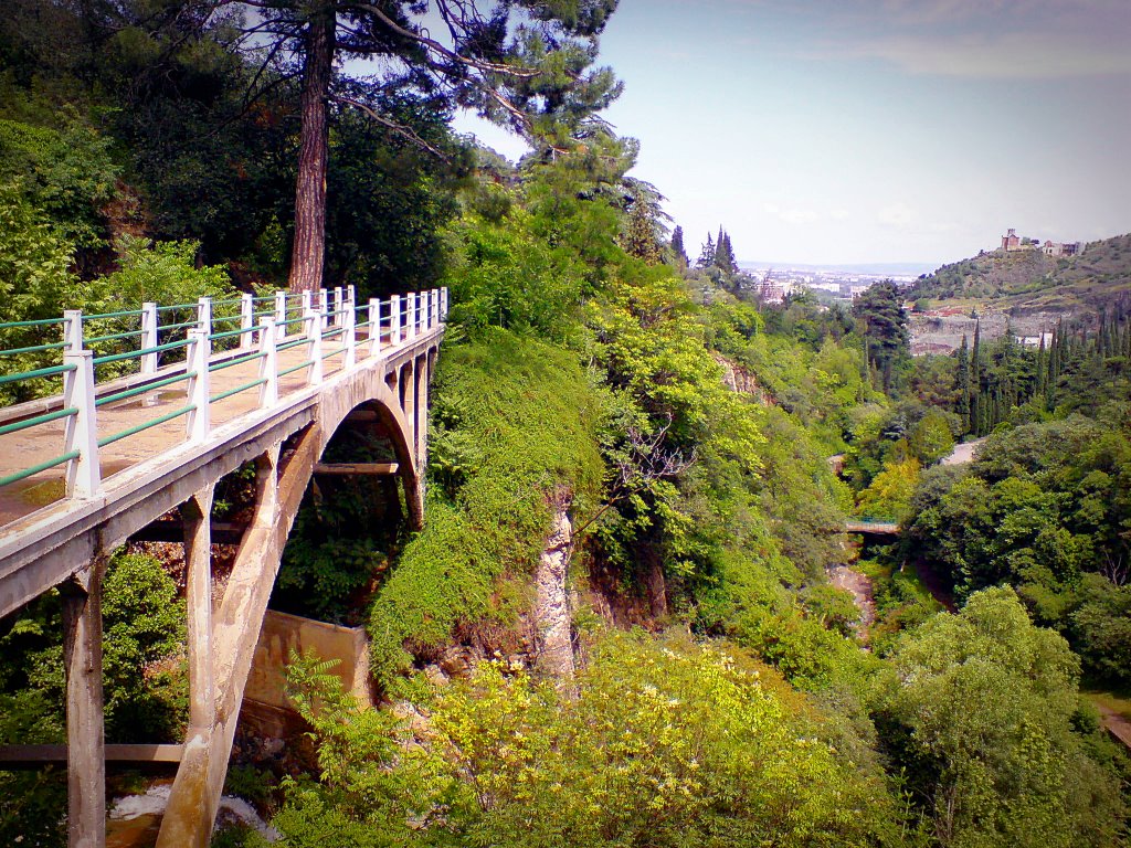 National Botanical Garden of Georgia