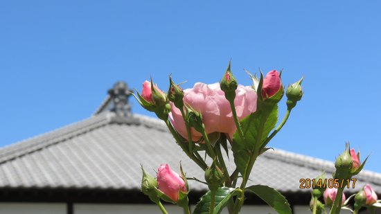 Outdoor Pictures 1