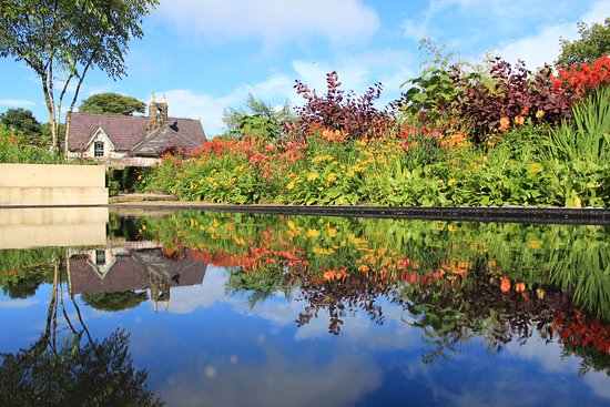 June Blake's Garden
