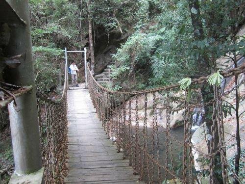 Mt. Guishan Wildwoods