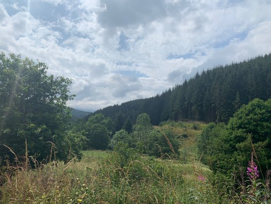 Glentress Forest