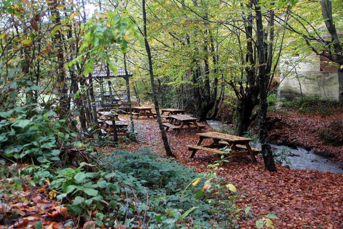 Outdoor Pictures 1