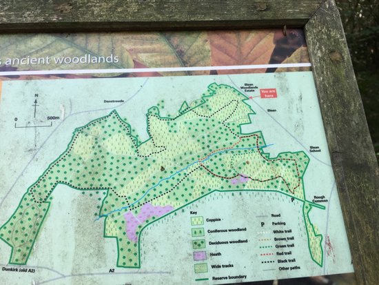 RSPB Reserve Blean Woods