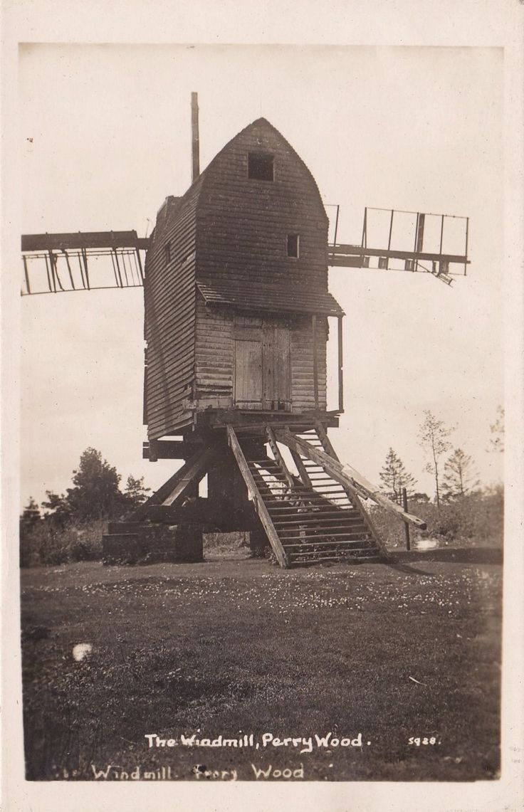 Perry Wood