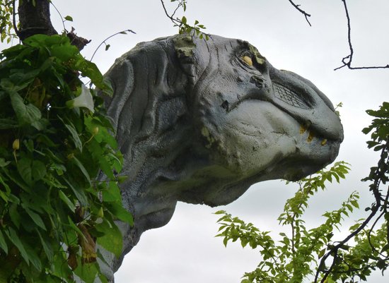 Rye-assic Adventure Park