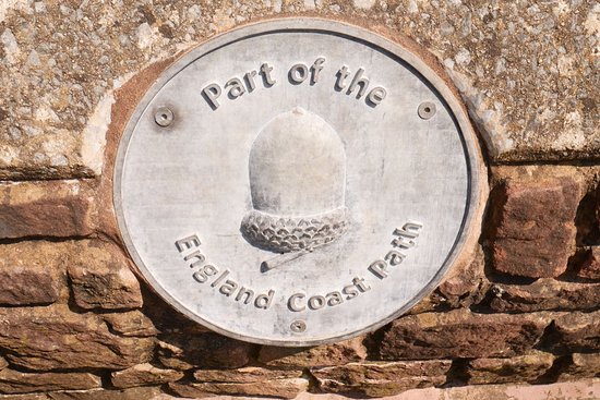 South West Coast Path - Culver Cliff Woodland Walk