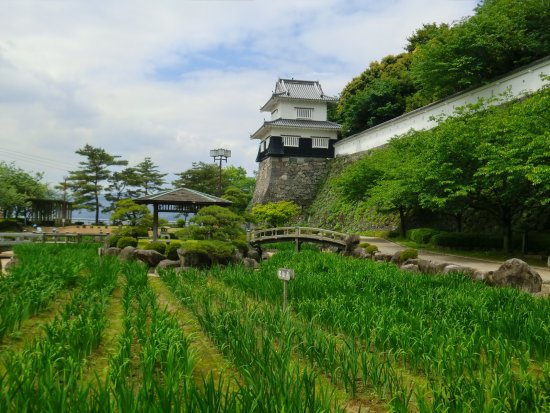Kushimajo Castle Site