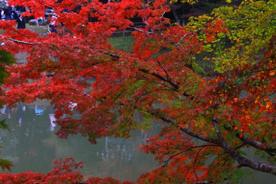 Yujaku Park