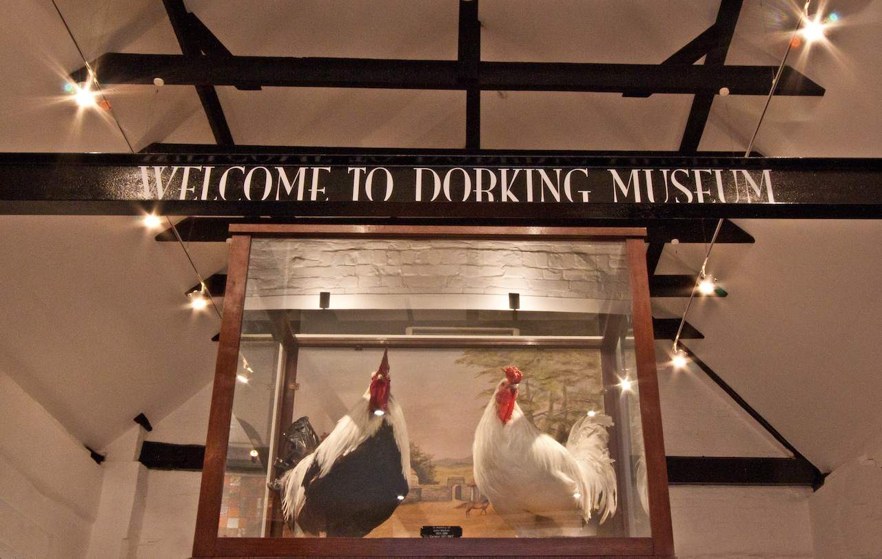 Dorking Museum and Heritage Centre