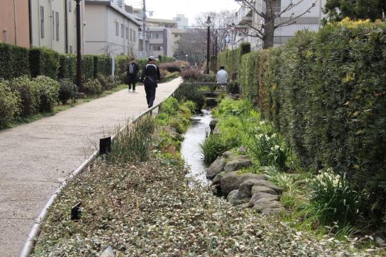 Karasuyamagawa Green Road