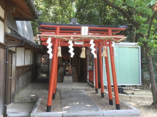 Tsudoshiroyama Ancient Tomb