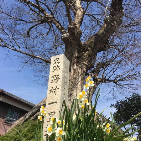 Nomura Ichirizuka