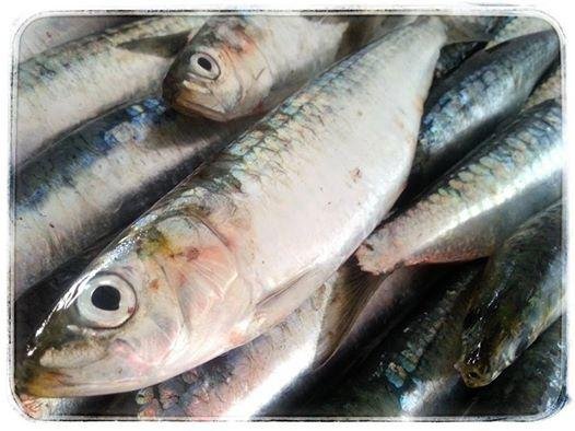 Pescados La Chucha