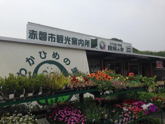 Wakahimeno sato