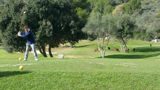 Club De Golf Son Termens