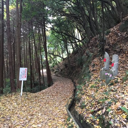 Yata Hill Promenade