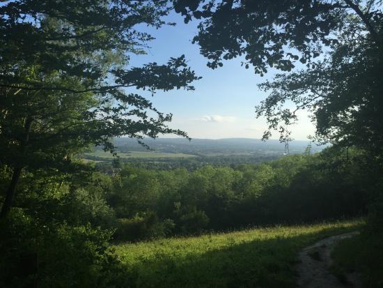 North Downs Way National Trail