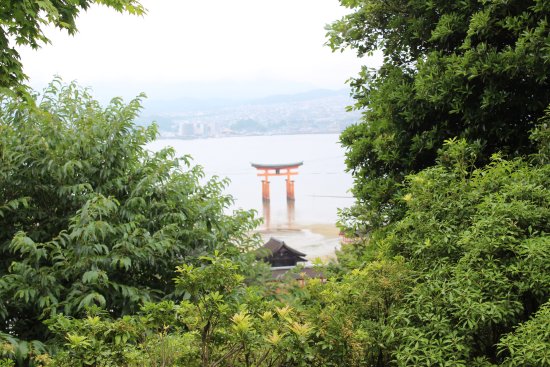 Asebi Walking Areas