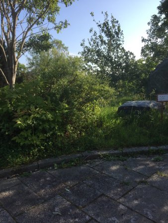 Outdoor Pictures 1